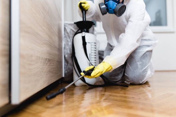 Trusted Kissimmee, FL Pest Control Experts