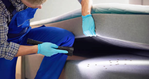 Best Pest Control Near Me in Kissimmee, FL
